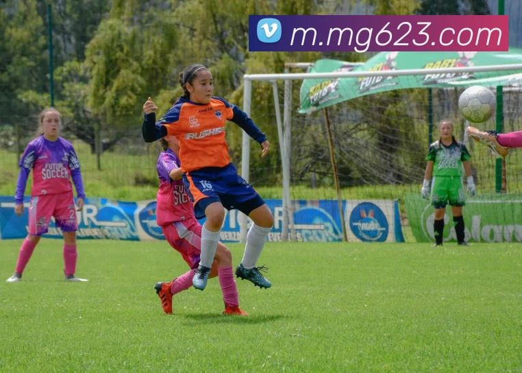 MG娱乐平台官网品牌故事